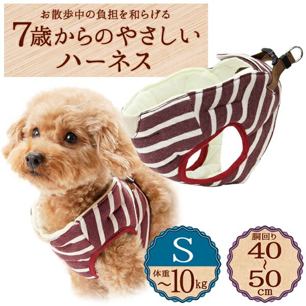 N.n.@7/12発送予定 ZX-(24)CCLIPTEL-(1)(W)｜テルワールド（NTT中古ビジネスフォン
