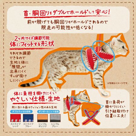 ねこ Anycat エニーキャット ハーネス シンプル S オレンジ