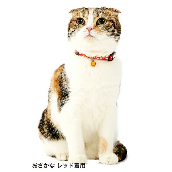 Anycat エニーキャット カラー チェック パープル | ペティオ