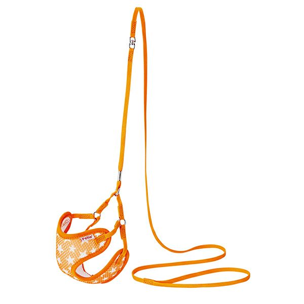 オレンジ