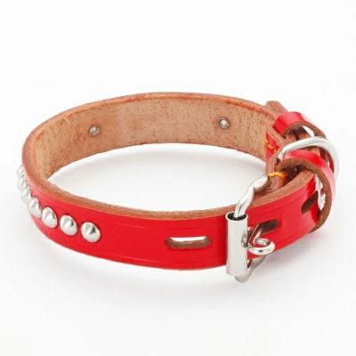 イヌパシー 首輪 SSサイズ レッド 手縫平首輪中一 21mm レッド | ペティオ オンライン ショップ本店