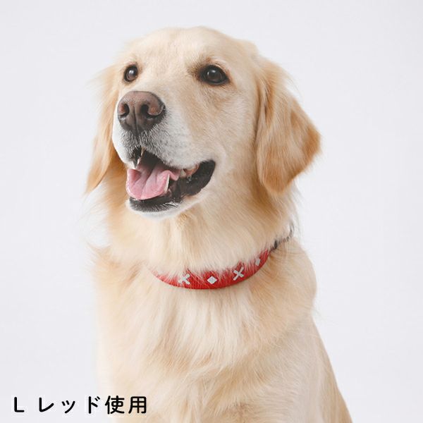 BASIC PLUS ベーシックプラス クロスダイヤカラー S レッド