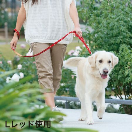 激安通販 000000000312-02-l.jpg?t= バレエ