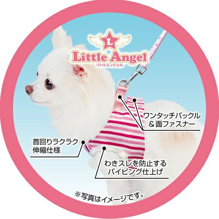 ミニチュア トップ ダックス ハーネス サイズ