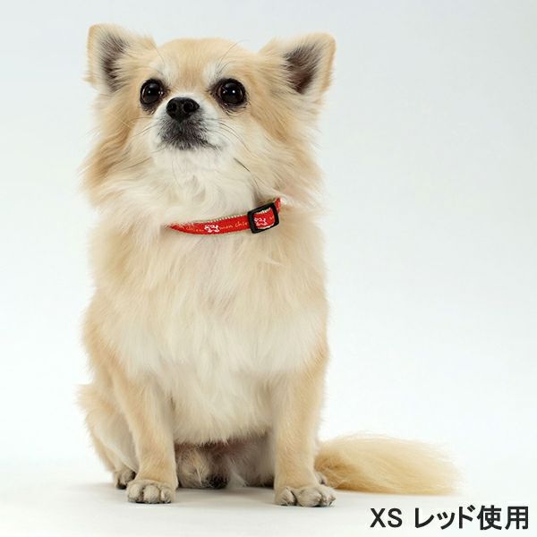 マイドッグリング ポメラニアン 20号 SV925*新品 ポメラニアン フリー