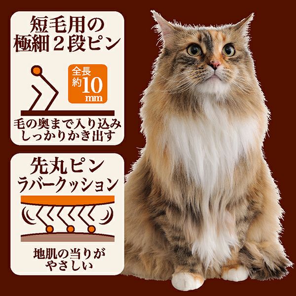 みけねこ専用 Amazon.co.jp: アイセン 貼りつく 鏡磨き おしりねこ 水をつけ