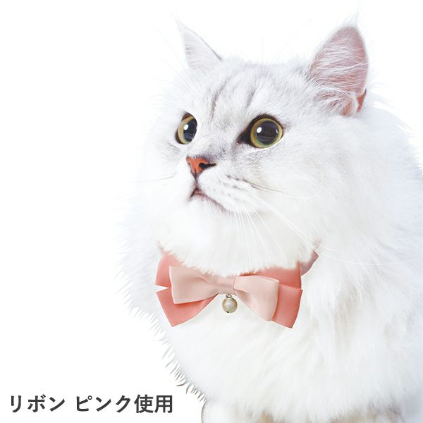 000000000666-03-l.jpg?t=  