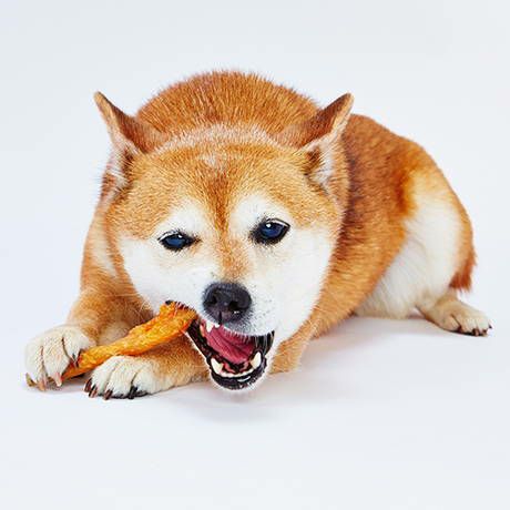 ●400g×10袋 国産ペティオ 絹ささ 燻製仕立て ささみとおいも