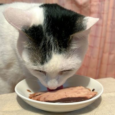 商品イメージ
