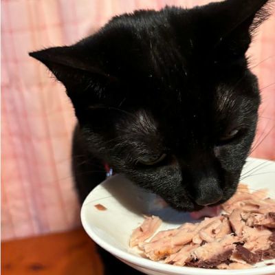 商品イメージ