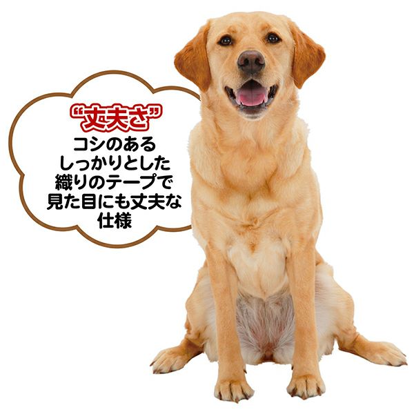 10%OFF！スーパーSALE】メリカジ スターベストハーネス S オレンジ