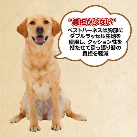 商品イメージ