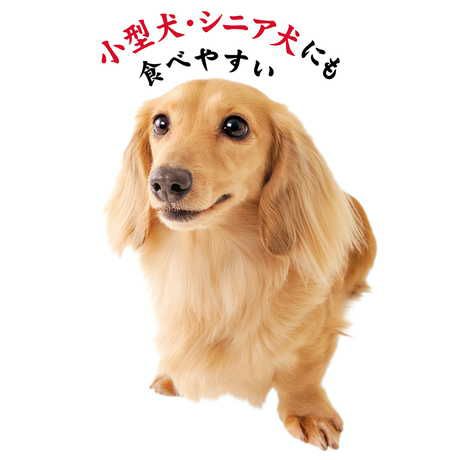 公式限定特価】極上ささみ 細切りソフト 150g | ペティオ 公式限定特価】極上ささみ 細切りソフト 150g | ペティオ