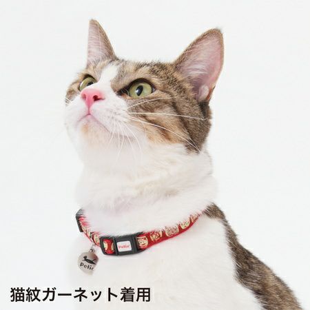 猫小町カラー 金魚 レッド | ペティオ オンライン ショップ本店