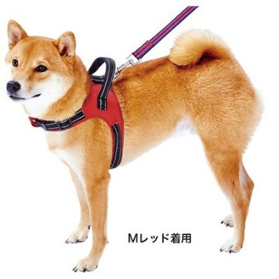 ラブハーネス M レッド