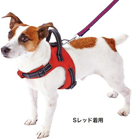 ラブハーネス S レッド | ペティオ オンライン ショップ本店
