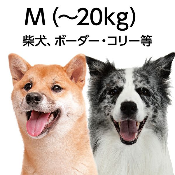 犬雅 唐草ベストハーネス M レッド | ペティオ オンライン ショップ本店