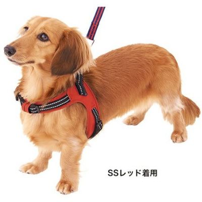 ラブハーネス SS レッド