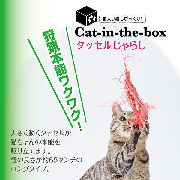 Add.Mate アドメイト cat in the box キャットインザボックス タッセル