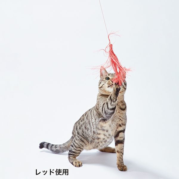 Add.Mate アドメイト cat in the box キャットインザボックス タッセル