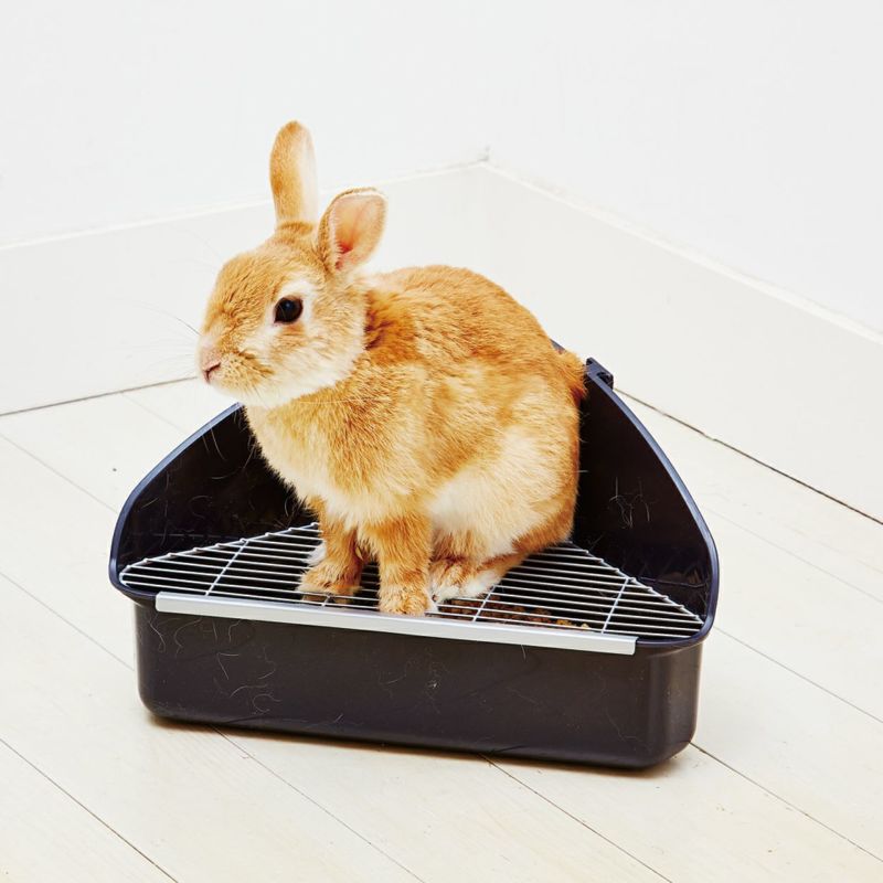 Add.Mate Lapin アドメイトラパン トワレットサンド 6L うさぎ用