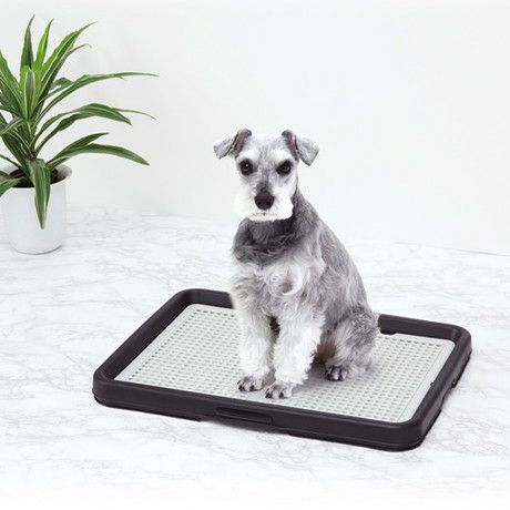 Amazon | pecolo(ペコロ) Toilet Tray Wide カカオ ワイドサイズ