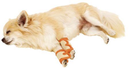 zuttone ずっとね 老犬介護用 床ずれ予防サポーター 小