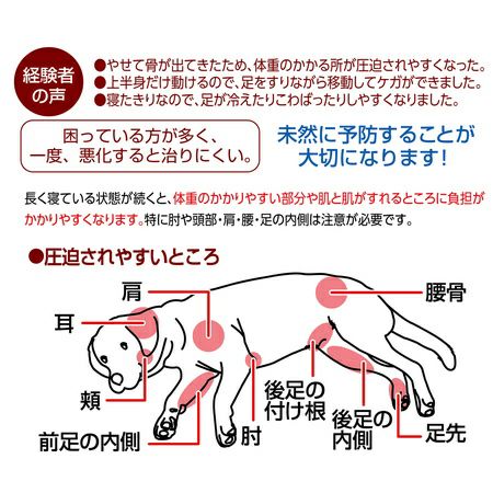 zuttone ずっとね 老犬介護用 床ずれ予防サポーター 小 | ペティオ オンライン ショップ本店