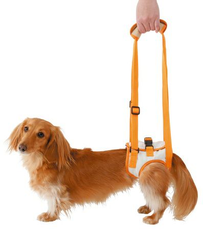 zuttone ずっとね 老犬介護用 歩行補助ハーネス 後足用K M | ペティオ