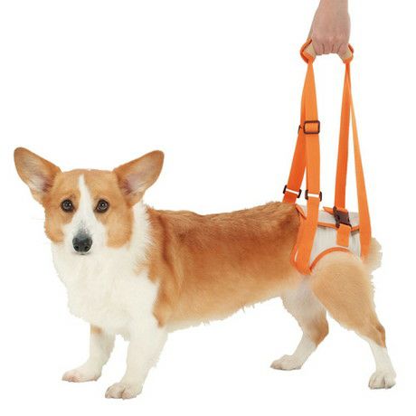 zuttone ずっとね 老犬介護用 歩行補助ハーネス 後足用Ｋ L | ペティオ オンライン ショップ本店