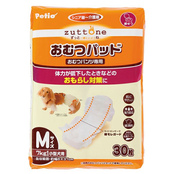 コヨーテの犬歯　50本セット（Sサイズ） コヨーテの犬歯 50本セット（Sサイズ） - メルカリ