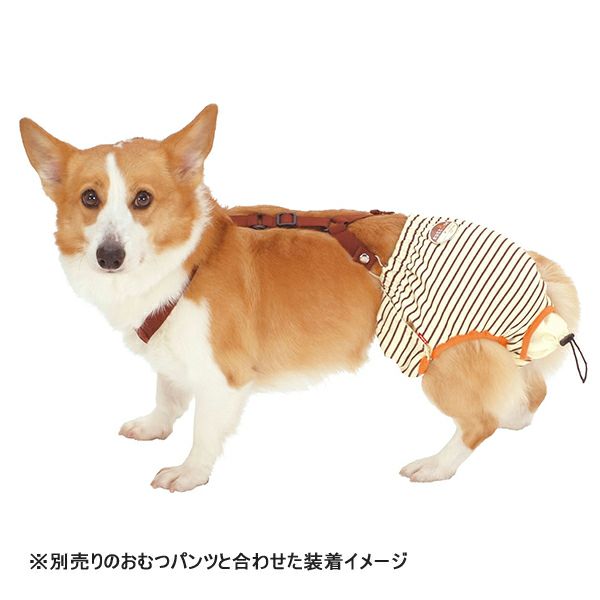 zuttone ずっとね 老犬介護用 おむつパッドK L | ペティオ オンライン
