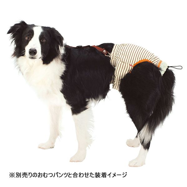 Amazon | 老犬介護用 おむつパッドK L 30枚入×12個 | ペティオ