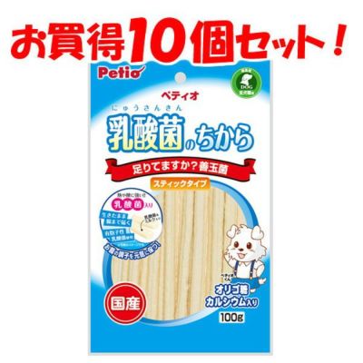 10個セット1個分お得|送料無料|乳酸菌のちから スティックタイプ 100g【会員様限定】