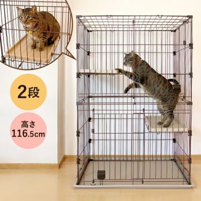 PMJ Cat Circle 2nd Stage