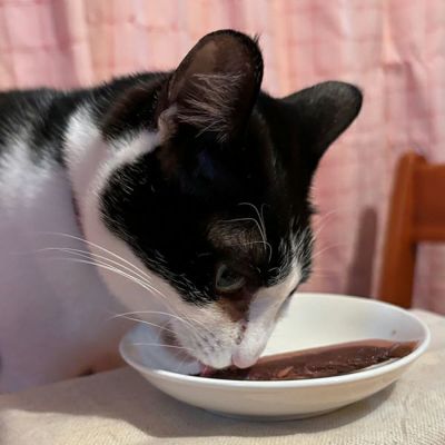 商品イメージ