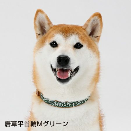 銅 小柄 犬 MA237 （ミックス犬図鑑サーチ）