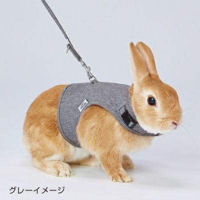 Add.Mate Lapin アドメイトラパン ラパンウォークハーネス S
