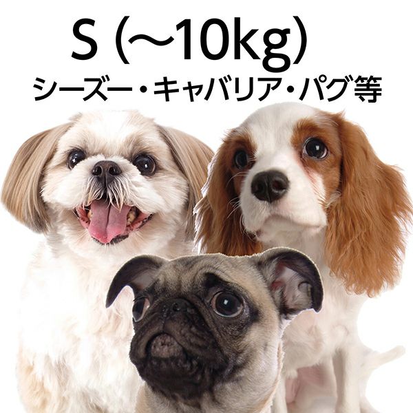 Porta ポルタ ハーネス S シルバーグレー | ペティオ オンライン