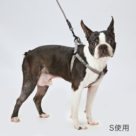 う*る様 MURRAL タグ付き　ハーネス　シルバー MURRAL タグ付き ハーネス