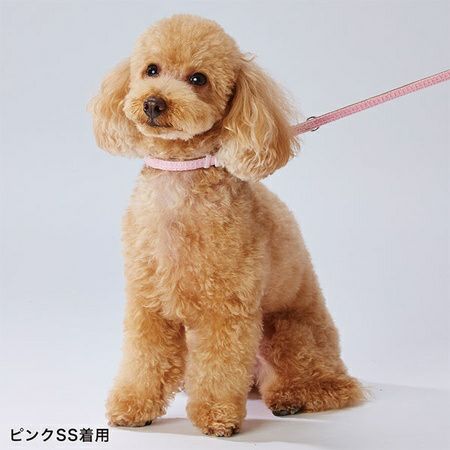 10%OFF！スーパーSALE】Add.Mate アドメイト ハーティウォーク