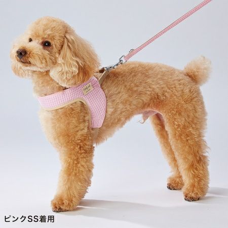 MINIミニF65 5ドア4代目2024年6月〜バイザーガーニッシュ6PCS