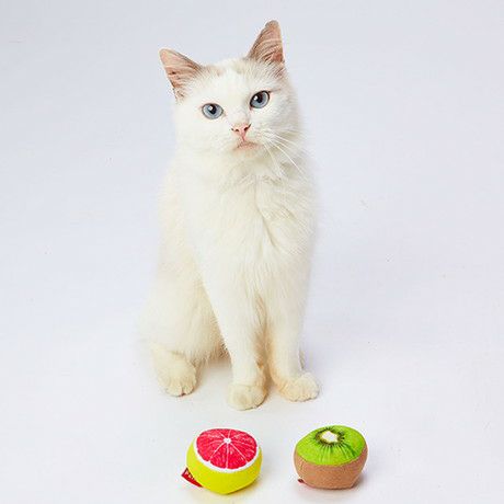 トロピカルネコ 猫用おもちゃ トロピカルフルーツボール 2個セット