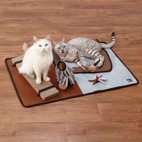 【送料関税無料】 20%OFF！スーパーSALE】猫用おもちゃ necoco 室内で ネココ マジック：ザ・ギャザリング