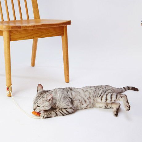 猫用おもちゃ へちまレザー デンタルTOY トイ ひもじゃらし