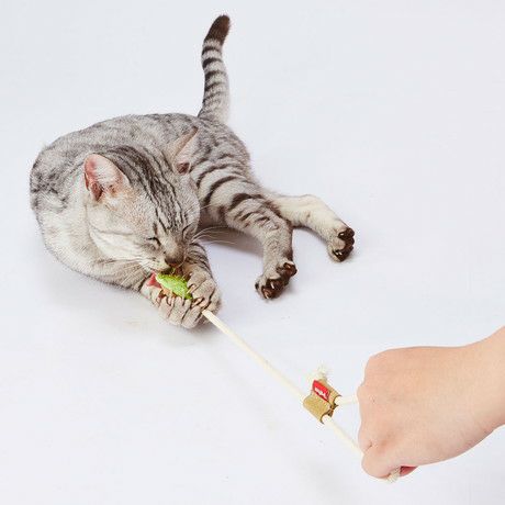 猫用おもちゃ へちまレザー デンタルTOY トイ ひもじゃらし グリーン
