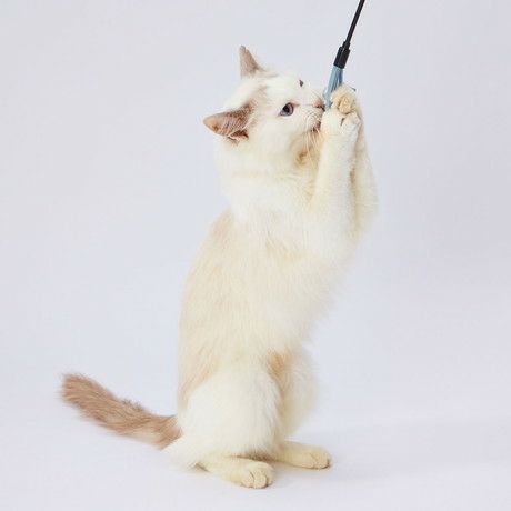 猫用おもちゃ necoco ネココ レザー猫じゃらし 結びレザー