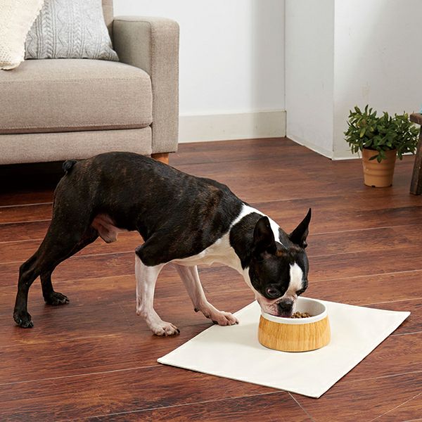 犬用食器 Porta ポルタ 木目調 陶器食器 Mサイズ | ペティオ