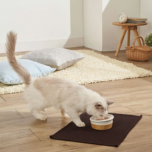猫用食器 necoco ネココ 食べやすい 木目調 陶器食器 ウェット
