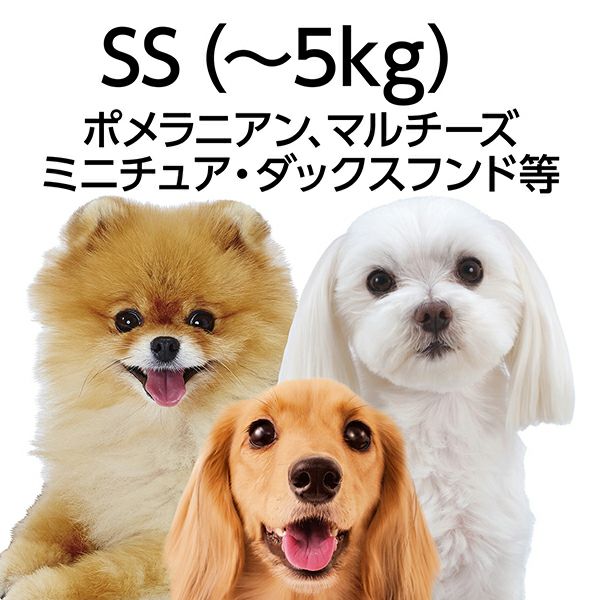Add.Mate アドメイト 犬用首輪 ソフトスキップカラーSSブルー